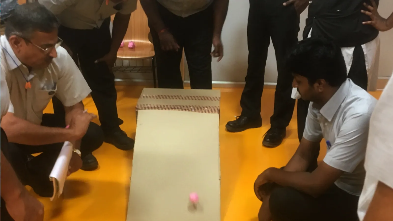 Lean Six Sigma Champion problem-solving activity